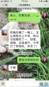 两周前，刘智明妻子蔡利萍向我们展示微信对话，没想竟是诀别
