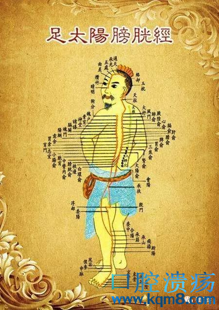 天柱穴的准确位置图功效与作用:通活络,有效调理肾气,治疗腰肌劳损