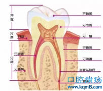 看牙不拍片就像开车无驾照，总是有风险的