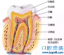 根管治疗是什么？一组动图让你看懂什么是根管治疗！