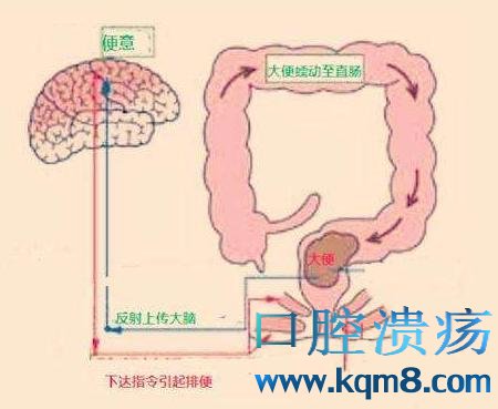 \"口腔溃疡很痛苦，3件事建议尽早做，避免这类水果加重病情！\"