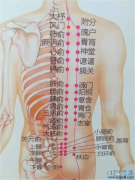 风门准确位置及功效与作用：治疗常年咳嗽