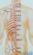 大椎穴的准确位置图功效与作用：益气壮阳，发热恶寒，头项强痛，肩背痛，风疹，咳嗽喘急，小儿惊风