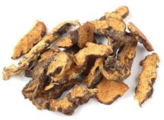 苍术的功效与作用及禁忌既能燥湿健脾又能治疗胃下垂与心动过速