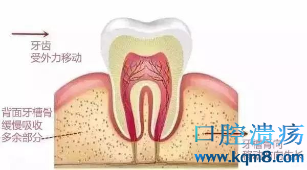 牙医的对手是谁？