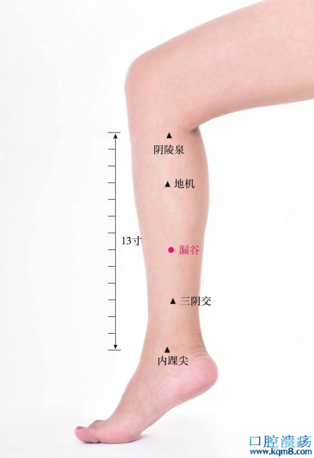 漏谷穴准确位置图功效与作用：健脾化湿、理气宣痹